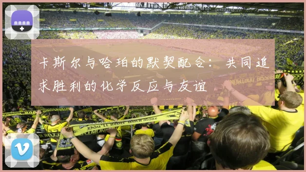 卡斯尔与哈珀的默契配合：共同追求胜利的化学反应与友谊